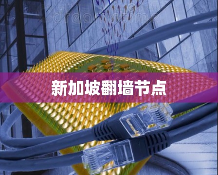 新加坡翻墙节点 新加坡翻墙节点
