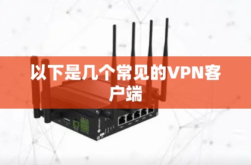 以下是几个常见的VPN客户端 以下是几个常见的VPN客户端