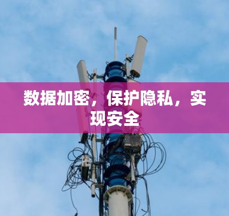 数据加密，保护隐私，实现安全