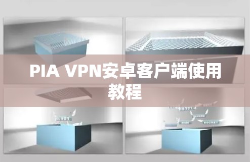 PIA VPN安卓客户端使用教程 PIA VPN安卓客户端使用教程