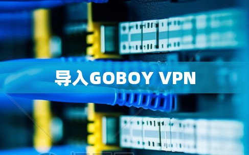 导入GOBOY VPN 导入GOBOY VPN