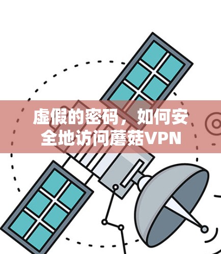 虚假的密码,如何安全地访问蘑菇VPN 虚假的密码,如何安全地访问蘑菇VPN