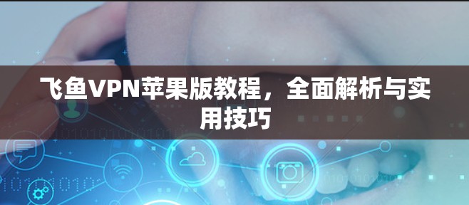 飞鱼VPN苹果版教程,全面解析与实用技巧 飞鱼VPN苹果版教程,全面解析与实用技巧