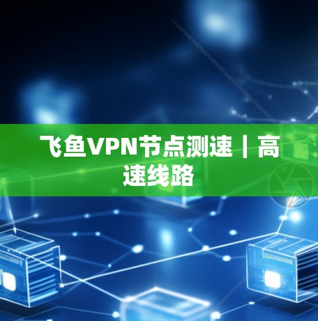 飞鱼VPN节点测速|高速线路 飞鱼VPN节点测速|高速线路