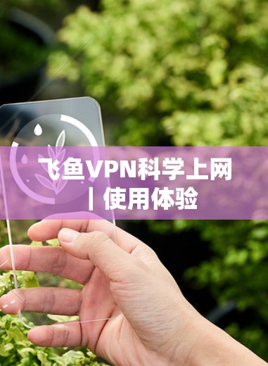 飞鱼VPN科学上网｜使用体验