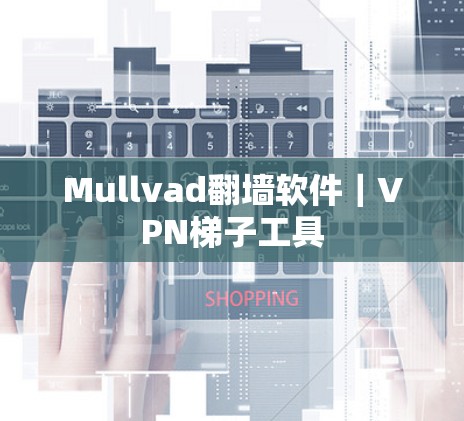 Mullvad翻墙软件｜VPN梯子工具