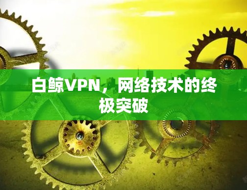 白鲸VPN,网络技术的终极突破 白鲸VPN,网络技术的终极突破