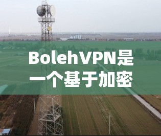 BolehVPN是一个基于加密技术的VPN工具，提供安全的网络连接和记录功能。如果你需要一个简单、可靠且安全的VPN选项，BolehVPN可能是你的最佳选择。以下是一个基于用户需求的分步建议