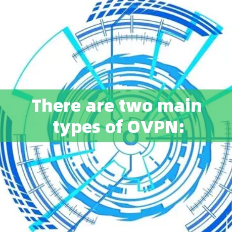 There are two main types of OVPN: There are two main types of OVPN: