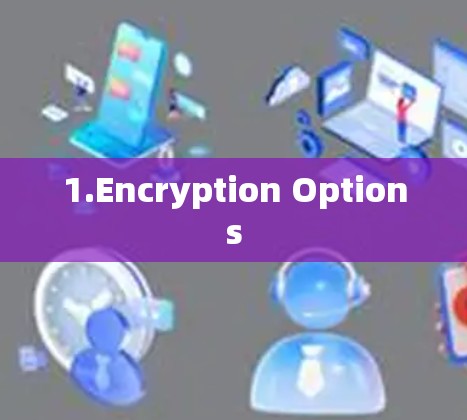 1.Encryption Options 1.Encryption Options