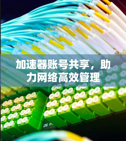 加速器账号共享,助力网络高效管理 加速器账号共享,助力网络高效管理