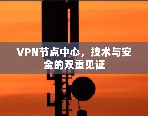 VPN节点中心，技术与安全的双重见证