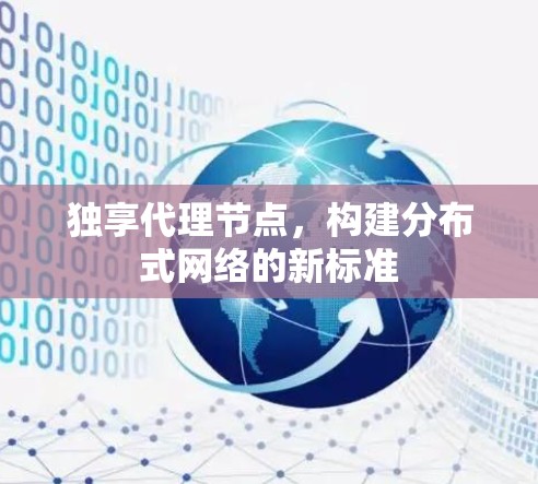 独享代理节点,构建分布式网络的新标准 独享代理节点,构建分布式网络的新标准