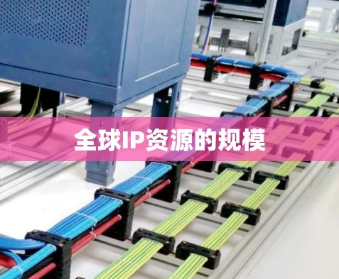 全球IP资源的规模 全球IP资源的规模