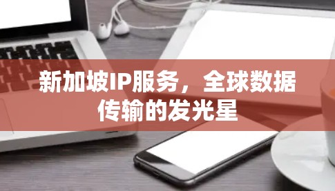 新加坡IP服务,全球数据传输的发光星 新加坡IP服务,全球数据传输的发光星