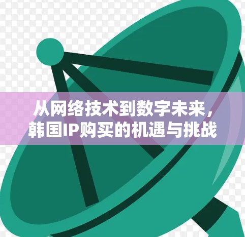 从网络技术到数字未来，韩国IP购买的机遇与挑战