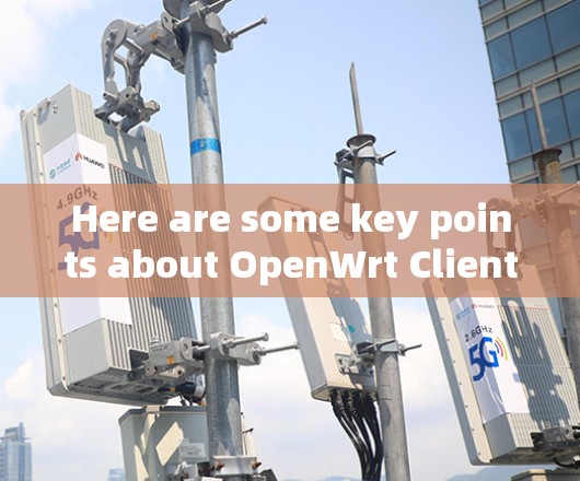 Here are some key points about OpenWrt Clients: