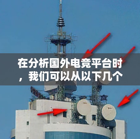 在分析国外电竞平台时，我们可以从以下几个关键方面进行总结和比较