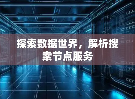 探索数据世界，解析搜索节点服务