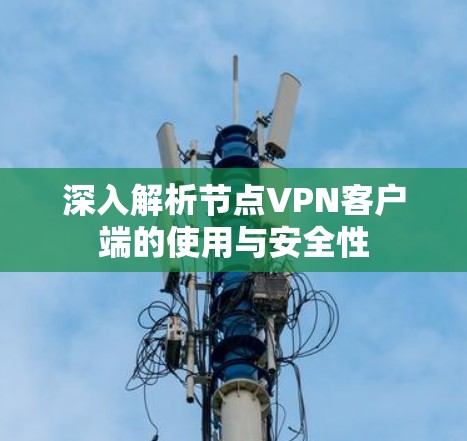 深入解析节点VPN客户端的使用与安全性