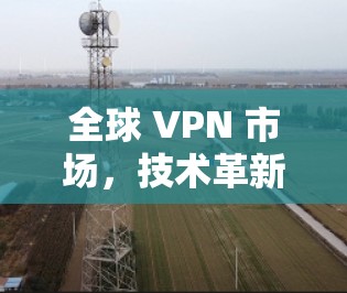 全球 VPN 市场,技术革新与应用机遇 全球 VPN 市场,技术革新与应用机遇