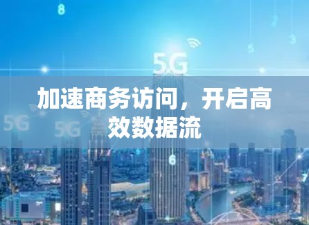 加速商务访问,开启高效数据流 加速商务访问,开启高效数据流