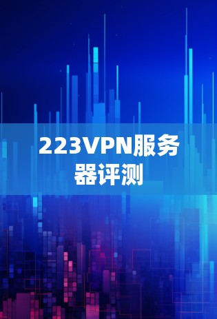 223VPN服务器评测
