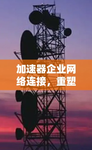 加速器企业网络连接,重塑企业网络效率的新机遇 加速器企业网络连接,重塑企业网络效率的新机遇