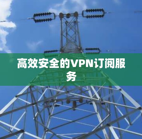 高效安全的VPN订阅服务 高效安全的VPN订阅服务
