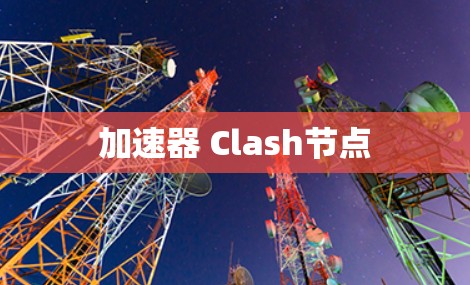 加速器 Clash节点 加速器 Clash节点
