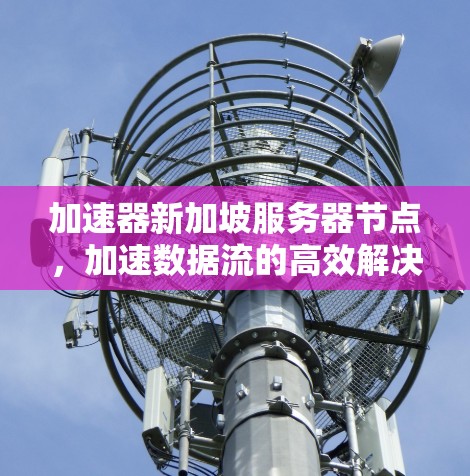 加速器新加坡服务器节点，加速数据流的高效解决方案